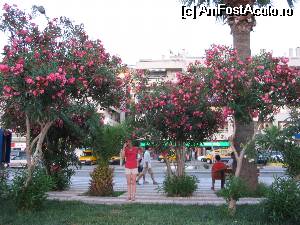 P16 [JUL-2010] Faleza centrala din Kusadasi, un fel de Corso la capatul careia este hotelul Caravanserai