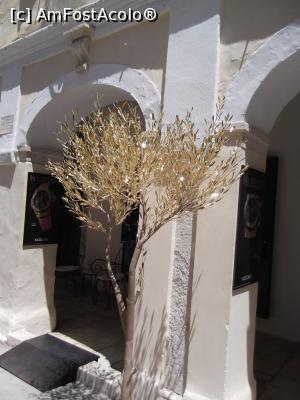 [P23] pom de aur in fata unei bijuterii din Corfu » foto by ManuelaManu
 - 
<span class="allrVoted glyphicon glyphicon-heart hidden" id="av754908"></span>
<a class="m-l-10 hidden" id="sv754908" onclick="voting_Foto_DelVot(,754908,17638)" role="button">șterge vot <span class="glyphicon glyphicon-remove"></span></a>
<a id="v9754908" class=" c-red"  onclick="voting_Foto_SetVot(754908)" role="button"><span class="glyphicon glyphicon-heart-empty"></span> <b>LIKE</b> = Votează poza</a> <img class="hidden"  id="f754908W9" src="/imagini/loader.gif" border="0" /><span class="AjErrMes hidden" id="e754908ErM"></span>