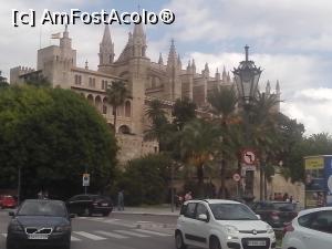 [P02] Kilometrul zero al Palmei, scufundat într-o mare de verdeață (2015) » foto by diacrys*
 - 
<span class="allrVoted glyphicon glyphicon-heart hidden" id="av899848"></span>
<a class="m-l-10 hidden" id="sv899848" onclick="voting_Foto_DelVot(,899848,17664)" role="button">șterge vot <span class="glyphicon glyphicon-remove"></span></a>
<a id="v9899848" class=" c-red"  onclick="voting_Foto_SetVot(899848)" role="button"><span class="glyphicon glyphicon-heart-empty"></span> <b>LIKE</b> = Votează poza</a> <img class="hidden"  id="f899848W9" src="/imagini/loader.gif" border="0" /><span class="AjErrMes hidden" id="e899848ErM"></span>