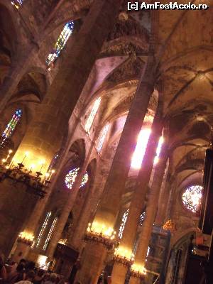 [P11] in catedrala din Palma de Mallorca » foto by GabrielaG
 - 
<span class="allrVoted glyphicon glyphicon-heart hidden" id="av604760"></span>
<a class="m-l-10 hidden" id="sv604760" onclick="voting_Foto_DelVot(,604760,17664)" role="button">șterge vot <span class="glyphicon glyphicon-remove"></span></a>
<a id="v9604760" class=" c-red"  onclick="voting_Foto_SetVot(604760)" role="button"><span class="glyphicon glyphicon-heart-empty"></span> <b>LIKE</b> = Votează poza</a> <img class="hidden"  id="f604760W9" src="/imagini/loader.gif" border="0" /><span class="AjErrMes hidden" id="e604760ErM"></span>