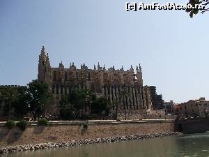 [P17] Catedrala din Palma de Mallorca » foto by GabrielaG
 - 
<span class="allrVoted glyphicon glyphicon-heart hidden" id="av604766"></span>
<a class="m-l-10 hidden" id="sv604766" onclick="voting_Foto_DelVot(,604766,17664)" role="button">șterge vot <span class="glyphicon glyphicon-remove"></span></a>
<a id="v9604766" class=" c-red"  onclick="voting_Foto_SetVot(604766)" role="button"><span class="glyphicon glyphicon-heart-empty"></span> <b>LIKE</b> = Votează poza</a> <img class="hidden"  id="f604766W9" src="/imagini/loader.gif" border="0" /><span class="AjErrMes hidden" id="e604766ErM"></span>