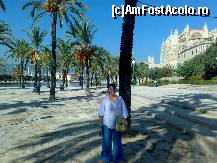 [P02] N-as fi crezut cat de pretioasa poate fi umbra curmalilor pe un soare ca de sudura. Catedrala din Palma in dreapta si portul in stanga.  » foto by Albinoium
 - 
<span class="allrVoted glyphicon glyphicon-heart hidden" id="av451368"></span>
<a class="m-l-10 hidden" id="sv451368" onclick="voting_Foto_DelVot(,451368,17664)" role="button">șterge vot <span class="glyphicon glyphicon-remove"></span></a>
<a id="v9451368" class=" c-red"  onclick="voting_Foto_SetVot(451368)" role="button"><span class="glyphicon glyphicon-heart-empty"></span> <b>LIKE</b> = Votează poza</a> <img class="hidden"  id="f451368W9" src="/imagini/loader.gif" border="0" /><span class="AjErrMes hidden" id="e451368ErM"></span>