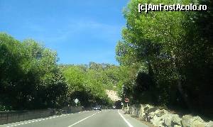 [P154]  -- <small>// FĂRĂ DESCRIERE</small> » foto by balasa violeta
 - 
<span class="allrVoted glyphicon glyphicon-heart hidden" id="av569958"></span>
<a class="m-l-10 hidden" id="sv569958" onclick="voting_Foto_DelVot(,569958,17664)" role="button">șterge vot <span class="glyphicon glyphicon-remove"></span></a>
<a id="v9569958" class=" c-red"  onclick="voting_Foto_SetVot(569958)" role="button"><span class="glyphicon glyphicon-heart-empty"></span> <b>LIKE</b> = Votează poza</a> <img class="hidden"  id="f569958W9" src="/imagini/loader.gif" border="0" /><span class="AjErrMes hidden" id="e569958ErM"></span>