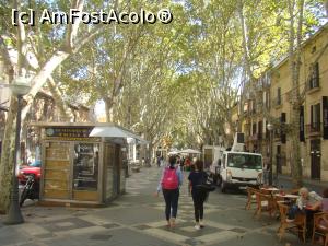 [P03] La Rambla din Palma » foto by Marius 72
 - 
<span class="allrVoted glyphicon glyphicon-heart hidden" id="av1164608"></span>
<a class="m-l-10 hidden" id="sv1164608" onclick="voting_Foto_DelVot(,1164608,17664)" role="button">șterge vot <span class="glyphicon glyphicon-remove"></span></a>
<a id="v91164608" class=" c-red"  onclick="voting_Foto_SetVot(1164608)" role="button"><span class="glyphicon glyphicon-heart-empty"></span> <b>LIKE</b> = Votează poza</a> <img class="hidden"  id="f1164608W9" src="/imagini/loader.gif" border="0" /><span class="AjErrMes hidden" id="e1164608ErM"></span>