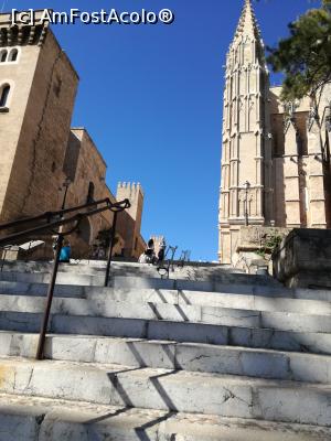 [P11]  -- <small>// FĂRĂ DESCRIERE</small> » foto by Irina banica
 - 
<span class="allrVoted glyphicon glyphicon-heart hidden" id="av860071"></span>
<a class="m-l-10 hidden" id="sv860071" onclick="voting_Foto_DelVot(,860071,17664)" role="button">șterge vot <span class="glyphicon glyphicon-remove"></span></a>
<a id="v9860071" class=" c-red"  onclick="voting_Foto_SetVot(860071)" role="button"><span class="glyphicon glyphicon-heart-empty"></span> <b>LIKE</b> = Votează poza</a> <img class="hidden"  id="f860071W9" src="/imagini/loader.gif" border="0" /><span class="AjErrMes hidden" id="e860071ErM"></span>