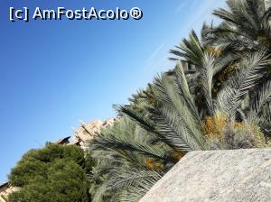 [P14]  -- <small>// FĂRĂ DESCRIERE</small> » foto by Irina banica
 - 
<span class="allrVoted glyphicon glyphicon-heart hidden" id="av860077"></span>
<a class="m-l-10 hidden" id="sv860077" onclick="voting_Foto_DelVot(,860077,17664)" role="button">șterge vot <span class="glyphicon glyphicon-remove"></span></a>
<a id="v9860077" class=" c-red"  onclick="voting_Foto_SetVot(860077)" role="button"><span class="glyphicon glyphicon-heart-empty"></span> <b>LIKE</b> = Votează poza</a> <img class="hidden"  id="f860077W9" src="/imagini/loader.gif" border="0" /><span class="AjErrMes hidden" id="e860077ErM"></span>