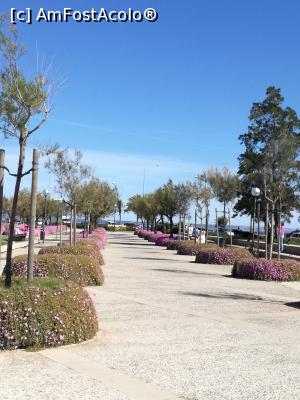 [P03]  -- <small>// FĂRĂ DESCRIERE</small> » foto by Irina banica
 - 
<span class="allrVoted glyphicon glyphicon-heart hidden" id="av860056"></span>
<a class="m-l-10 hidden" id="sv860056" onclick="voting_Foto_DelVot(,860056,17664)" role="button">șterge vot <span class="glyphicon glyphicon-remove"></span></a>
<a id="v9860056" class=" c-red"  onclick="voting_Foto_SetVot(860056)" role="button"><span class="glyphicon glyphicon-heart-empty"></span> <b>LIKE</b> = Votează poza</a> <img class="hidden"  id="f860056W9" src="/imagini/loader.gif" border="0" /><span class="AjErrMes hidden" id="e860056ErM"></span>