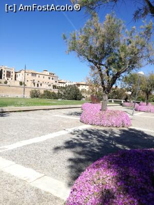 [P04]  -- <small>// FĂRĂ DESCRIERE</small> » foto by Irina banica
 - 
<span class="allrVoted glyphicon glyphicon-heart hidden" id="av860057"></span>
<a class="m-l-10 hidden" id="sv860057" onclick="voting_Foto_DelVot(,860057,17664)" role="button">șterge vot <span class="glyphicon glyphicon-remove"></span></a>
<a id="v9860057" class=" c-red"  onclick="voting_Foto_SetVot(860057)" role="button"><span class="glyphicon glyphicon-heart-empty"></span> <b>LIKE</b> = Votează poza</a> <img class="hidden"  id="f860057W9" src="/imagini/loader.gif" border="0" /><span class="AjErrMes hidden" id="e860057ErM"></span>