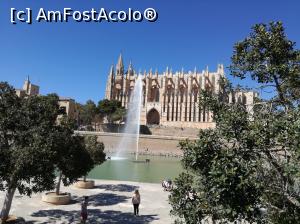 [P05]  -- <small>// FĂRĂ DESCRIERE</small> » foto by Irina banica
 - 
<span class="allrVoted glyphicon glyphicon-heart hidden" id="av860058"></span>
<a class="m-l-10 hidden" id="sv860058" onclick="voting_Foto_DelVot(,860058,17664)" role="button">șterge vot <span class="glyphicon glyphicon-remove"></span></a>
<a id="v9860058" class=" c-red"  onclick="voting_Foto_SetVot(860058)" role="button"><span class="glyphicon glyphicon-heart-empty"></span> <b>LIKE</b> = Votează poza</a> <img class="hidden"  id="f860058W9" src="/imagini/loader.gif" border="0" /><span class="AjErrMes hidden" id="e860058ErM"></span>