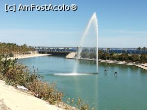 [P09]  -- <small>// FĂRĂ DESCRIERE</small> » foto by Irina banica
 - 
<span class="allrVoted glyphicon glyphicon-heart hidden" id="av860068"></span>
<a class="m-l-10 hidden" id="sv860068" onclick="voting_Foto_DelVot(,860068,17664)" role="button">șterge vot <span class="glyphicon glyphicon-remove"></span></a>
<a id="v9860068" class=" c-red"  onclick="voting_Foto_SetVot(860068)" role="button"><span class="glyphicon glyphicon-heart-empty"></span> <b>LIKE</b> = Votează poza</a> <img class="hidden"  id="f860068W9" src="/imagini/loader.gif" border="0" /><span class="AjErrMes hidden" id="e860068ErM"></span>