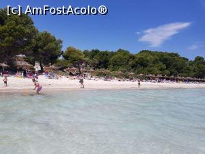 [P07] Plaja Alcudia » foto by Florinasimi
 - 
<span class="allrVoted glyphicon glyphicon-heart hidden" id="av975091"></span>
<a class="m-l-10 hidden" id="sv975091" onclick="voting_Foto_DelVot(,975091,17664)" role="button">șterge vot <span class="glyphicon glyphicon-remove"></span></a>
<a id="v9975091" class=" c-red"  onclick="voting_Foto_SetVot(975091)" role="button"><span class="glyphicon glyphicon-heart-empty"></span> <b>LIKE</b> = Votează poza</a> <img class="hidden"  id="f975091W9" src="/imagini/loader.gif" border="0" /><span class="AjErrMes hidden" id="e975091ErM"></span>