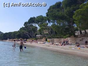 [P09] Renumita plaja Formentor, minunata!  » foto by Florinasimi
 - 
<span class="allrVoted glyphicon glyphicon-heart hidden" id="av975093"></span>
<a class="m-l-10 hidden" id="sv975093" onclick="voting_Foto_DelVot(,975093,17664)" role="button">șterge vot <span class="glyphicon glyphicon-remove"></span></a>
<a id="v9975093" class=" c-red"  onclick="voting_Foto_SetVot(975093)" role="button"><span class="glyphicon glyphicon-heart-empty"></span> <b>LIKE</b> = Votează poza</a> <img class="hidden"  id="f975093W9" src="/imagini/loader.gif" border="0" /><span class="AjErrMes hidden" id="e975093ErM"></span>