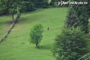 [P24] nu stiu daca se distinge pe cararuia serpuind pe munte era o batrana care care urca sprijinita de un bat. noi eram varza cu limba cat cravata de oboseala si neantrenati si o admiram... oamenii muntelui...  » foto by alunelu69
 - 
<span class="allrVoted glyphicon glyphicon-heart hidden" id="av576895"></span>
<a class="m-l-10 hidden" id="sv576895" onclick="voting_Foto_DelVot(,576895,17741)" role="button">șterge vot <span class="glyphicon glyphicon-remove"></span></a>
<a id="v9576895" class=" c-red"  onclick="voting_Foto_SetVot(576895)" role="button"><span class="glyphicon glyphicon-heart-empty"></span> <b>LIKE</b> = Votează poza</a> <img class="hidden"  id="f576895W9" src="/imagini/loader.gif" border="0" /><span class="AjErrMes hidden" id="e576895ErM"></span>