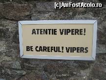 [P15] Urcam scarile de lemn spre o esplanada din varful cetatii, sperand ca viperele, ca si ursii, iarna, hiberneaza... » foto by dorgo
 - 
<span class="allrVoted glyphicon glyphicon-heart hidden" id="av180713"></span>
<a class="m-l-10 hidden" id="sv180713" onclick="voting_Foto_DelVot(,180713,17970)" role="button">șterge vot <span class="glyphicon glyphicon-remove"></span></a>
<a id="v9180713" class=" c-red"  onclick="voting_Foto_SetVot(180713)" role="button"><span class="glyphicon glyphicon-heart-empty"></span> <b>LIKE</b> = Votează poza</a> <img class="hidden"  id="f180713W9" src="/imagini/loader.gif" border="0" /><span class="AjErrMes hidden" id="e180713ErM"></span>