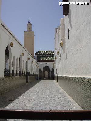 [P15] La Mausoleul de la MOulay Idris.  » foto by alinaro
 - 
<span class="allrVoted glyphicon glyphicon-heart hidden" id="av686365"></span>
<a class="m-l-10 hidden" id="sv686365" onclick="voting_Foto_DelVot(,686365,17981)" role="button">șterge vot <span class="glyphicon glyphicon-remove"></span></a>
<a id="v9686365" class=" c-red"  onclick="voting_Foto_SetVot(686365)" role="button"><span class="glyphicon glyphicon-heart-empty"></span> <b>LIKE</b> = Votează poza</a> <img class="hidden"  id="f686365W9" src="/imagini/loader.gif" border="0" /><span class="AjErrMes hidden" id="e686365ErM"></span>