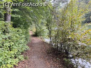 [P26] Întoarcerea la Maial » foto by Mika
 - 
<span class="allrVoted glyphicon glyphicon-heart hidden" id="av1509305"></span>
<a class="m-l-10 hidden" id="sv1509305" onclick="voting_Foto_DelVot(,1509305,17992)" role="button">șterge vot <span class="glyphicon glyphicon-remove"></span></a>
<a id="v91509305" class=" c-red"  onclick="voting_Foto_SetVot(1509305)" role="button"><span class="glyphicon glyphicon-heart-empty"></span> <b>LIKE</b> = Votează poza</a> <img class="hidden"  id="f1509305W9" src="/imagini/loader.gif" border="0" /><span class="AjErrMes hidden" id="e1509305ErM"></span>