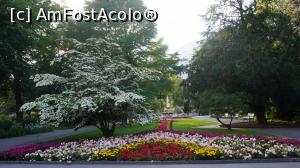 [P01] Parcul din Bad Reichenhall (Kurpark)  » foto by GIN2015*
 - 
<span class="allrVoted glyphicon glyphicon-heart hidden" id="av798532"></span>
<a class="m-l-10 hidden" id="sv798532" onclick="voting_Foto_DelVot(,798532,18006)" role="button">șterge vot <span class="glyphicon glyphicon-remove"></span></a>
<a id="v9798532" class=" c-red"  onclick="voting_Foto_SetVot(798532)" role="button"><span class="glyphicon glyphicon-heart-empty"></span> <b>LIKE</b> = Votează poza</a> <img class="hidden"  id="f798532W9" src="/imagini/loader.gif" border="0" /><span class="AjErrMes hidden" id="e798532ErM"></span>