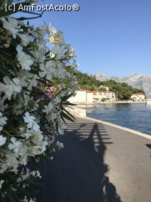 [P01] Perast » foto by krisstinna
 - 
<span class="allrVoted glyphicon glyphicon-heart hidden" id="av1103479"></span>
<a class="m-l-10 hidden" id="sv1103479" onclick="voting_Foto_DelVot(,1103479,18064)" role="button">șterge vot <span class="glyphicon glyphicon-remove"></span></a>
<a id="v91103479" class=" c-red"  onclick="voting_Foto_SetVot(1103479)" role="button"><span class="glyphicon glyphicon-heart-empty"></span> <b>LIKE</b> = Votează poza</a> <img class="hidden"  id="f1103479W9" src="/imagini/loader.gif" border="0" /><span class="AjErrMes hidden" id="e1103479ErM"></span>