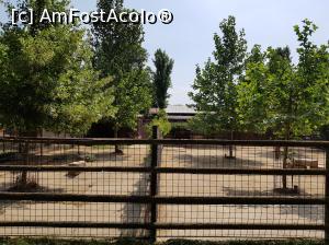 [P12] Așa sunt delimitate spațiile care găzduiesc animalele de la Zoo București.  » foto by Floryn81
 - 
<span class="allrVoted glyphicon glyphicon-heart hidden" id="av1007902"></span>
<a class="m-l-10 hidden" id="sv1007902" onclick="voting_Foto_DelVot(,1007902,18082)" role="button">șterge vot <span class="glyphicon glyphicon-remove"></span></a>
<a id="v91007902" class=" c-red"  onclick="voting_Foto_SetVot(1007902)" role="button"><span class="glyphicon glyphicon-heart-empty"></span> <b>LIKE</b> = Votează poza</a> <img class="hidden"  id="f1007902W9" src="/imagini/loader.gif" border="0" /><span class="AjErrMes hidden" id="e1007902ErM"></span>