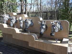 [P25] București - Grădina Zoologică. Cișmele. » foto by iulianic
 - 
<span class="allrVoted glyphicon glyphicon-heart hidden" id="av1357555"></span>
<a class="m-l-10 hidden" id="sv1357555" onclick="voting_Foto_DelVot(,1357555,18082)" role="button">șterge vot <span class="glyphicon glyphicon-remove"></span></a>
<a id="v91357555" class=" c-red"  onclick="voting_Foto_SetVot(1357555)" role="button"><span class="glyphicon glyphicon-heart-empty"></span> <b>LIKE</b> = Votează poza</a> <img class="hidden"  id="f1357555W9" src="/imagini/loader.gif" border="0" /><span class="AjErrMes hidden" id="e1357555ErM"></span>