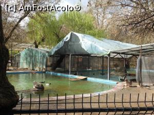 [P51] București - Grădina Zoologică. » foto by iulianic
 - 
<span class="allrVoted glyphicon glyphicon-heart hidden" id="av1357581"></span>
<a class="m-l-10 hidden" id="sv1357581" onclick="voting_Foto_DelVot(,1357581,18082)" role="button">șterge vot <span class="glyphicon glyphicon-remove"></span></a>
<a id="v91357581" class=" c-red"  onclick="voting_Foto_SetVot(1357581)" role="button"><span class="glyphicon glyphicon-heart-empty"></span> <b>LIKE</b> = Votează poza</a> <img class="hidden"  id="f1357581W9" src="/imagini/loader.gif" border="0" /><span class="AjErrMes hidden" id="e1357581ErM"></span>