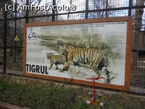 [P56] București - Grădina Zoologică. » foto by iulianic
 - 
<span class="allrVoted glyphicon glyphicon-heart hidden" id="av1357586"></span>
<a class="m-l-10 hidden" id="sv1357586" onclick="voting_Foto_DelVot(,1357586,18082)" role="button">șterge vot <span class="glyphicon glyphicon-remove"></span></a>
<a id="v91357586" class=" c-red"  onclick="voting_Foto_SetVot(1357586)" role="button"><span class="glyphicon glyphicon-heart-empty"></span> <b>LIKE</b> = Votează poza</a> <img class="hidden"  id="f1357586W9" src="/imagini/loader.gif" border="0" /><span class="AjErrMes hidden" id="e1357586ErM"></span>