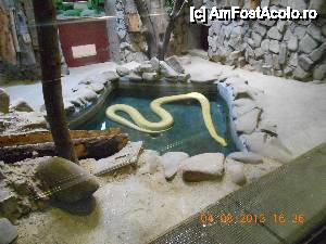 [P08] Zoo |Bucuresti - Baneasa » foto by gentleman30
 - 
<span class="allrVoted glyphicon glyphicon-heart hidden" id="av461780"></span>
<a class="m-l-10 hidden" id="sv461780" onclick="voting_Foto_DelVot(,461780,18082)" role="button">șterge vot <span class="glyphicon glyphicon-remove"></span></a>
<a id="v9461780" class=" c-red"  onclick="voting_Foto_SetVot(461780)" role="button"><span class="glyphicon glyphicon-heart-empty"></span> <b>LIKE</b> = Votează poza</a> <img class="hidden"  id="f461780W9" src="/imagini/loader.gif" border="0" /><span class="AjErrMes hidden" id="e461780ErM"></span>