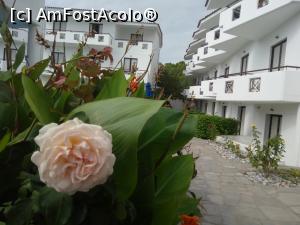 [P20] Xenios Dolphin Beach Hotel » foto by silvia71
 - 
<span class="allrVoted glyphicon glyphicon-heart hidden" id="av795086"></span>
<a class="m-l-10 hidden" id="sv795086" onclick="voting_Foto_DelVot(,795086,18108)" role="button">șterge vot <span class="glyphicon glyphicon-remove"></span></a>
<a id="v9795086" class=" c-red"  onclick="voting_Foto_SetVot(795086)" role="button"><span class="glyphicon glyphicon-heart-empty"></span> <b>LIKE</b> = Votează poza</a> <img class="hidden"  id="f795086W9" src="/imagini/loader.gif" border="0" /><span class="AjErrMes hidden" id="e795086ErM"></span>