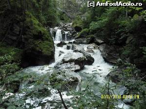 [P13] ... și urcușul continuă pe lângă apele învolburate » foto by Alina53
 - 
<span class="allrVoted glyphicon glyphicon-heart hidden" id="av601147"></span>
<a class="m-l-10 hidden" id="sv601147" onclick="voting_Foto_DelVot(,601147,18132)" role="button">șterge vot <span class="glyphicon glyphicon-remove"></span></a>
<a id="v9601147" class=" c-red"  onclick="voting_Foto_SetVot(601147)" role="button"><span class="glyphicon glyphicon-heart-empty"></span> <b>LIKE</b> = Votează poza</a> <img class="hidden"  id="f601147W9" src="/imagini/loader.gif" border="0" /><span class="AjErrMes hidden" id="e601147ErM"></span>