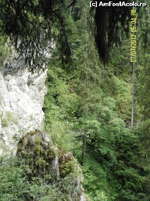 [P24] Cum o fi noaptea pe aici?  » foto by Alina53
 - 
<span class="allrVoted glyphicon glyphicon-heart hidden" id="av601158"></span>
<a class="m-l-10 hidden" id="sv601158" onclick="voting_Foto_DelVot(,601158,18132)" role="button">șterge vot <span class="glyphicon glyphicon-remove"></span></a>
<a id="v9601158" class=" c-red"  onclick="voting_Foto_SetVot(601158)" role="button"><span class="glyphicon glyphicon-heart-empty"></span> <b>LIKE</b> = Votează poza</a> <img class="hidden"  id="f601158W9" src="/imagini/loader.gif" border="0" /><span class="AjErrMes hidden" id="e601158ErM"></span>