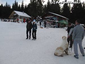 [P16] Serbarile Zapezii Vartop 2015- si cainii ies la zapada :)  » foto by luciaoradea
 - 
<span class="allrVoted glyphicon glyphicon-heart hidden" id="av599633"></span>
<a class="m-l-10 hidden" id="sv599633" onclick="voting_Foto_DelVot(,599633,18142)" role="button">șterge vot <span class="glyphicon glyphicon-remove"></span></a>
<a id="v9599633" class=" c-red"  onclick="voting_Foto_SetVot(599633)" role="button"><span class="glyphicon glyphicon-heart-empty"></span> <b>LIKE</b> = Votează poza</a> <img class="hidden"  id="f599633W9" src="/imagini/loader.gif" border="0" /><span class="AjErrMes hidden" id="e599633ErM"></span>