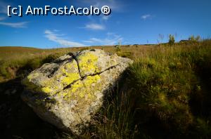 [P30] Zona Cucurbăta Mică » foto by Remicade
 - 
<span class="allrVoted glyphicon glyphicon-heart hidden" id="av770410"></span>
<a class="m-l-10 hidden" id="sv770410" onclick="voting_Foto_DelVot(,770410,18142)" role="button">șterge vot <span class="glyphicon glyphicon-remove"></span></a>
<a id="v9770410" class=" c-red"  onclick="voting_Foto_SetVot(770410)" role="button"><span class="glyphicon glyphicon-heart-empty"></span> <b>LIKE</b> = Votează poza</a> <img class="hidden"  id="f770410W9" src="/imagini/loader.gif" border="0" /><span class="AjErrMes hidden" id="e770410ErM"></span>