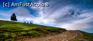 [P04] Apus in Vârtop » foto by Remicade
 - 
<span class="allrVoted glyphicon glyphicon-heart hidden" id="av768602"></span>
<a class="m-l-10 hidden" id="sv768602" onclick="voting_Foto_DelVot(,768602,18142)" role="button">șterge vot <span class="glyphicon glyphicon-remove"></span></a>
<a id="v9768602" class=" c-red"  onclick="voting_Foto_SetVot(768602)" role="button"><span class="glyphicon glyphicon-heart-empty"></span> <b>LIKE</b> = Votează poza</a> <img class="hidden"  id="f768602W9" src="/imagini/loader.gif" border="0" /><span class="AjErrMes hidden" id="e768602ErM"></span>