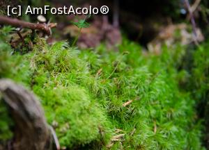 [P43] Spre varful Piatra Graitoare » foto by Remicade
 - 
<span class="allrVoted glyphicon glyphicon-heart hidden" id="av770780"></span>
<a class="m-l-10 hidden" id="sv770780" onclick="voting_Foto_DelVot(,770780,18142)" role="button">șterge vot <span class="glyphicon glyphicon-remove"></span></a>
<a id="v9770780" class=" c-red"  onclick="voting_Foto_SetVot(770780)" role="button"><span class="glyphicon glyphicon-heart-empty"></span> <b>LIKE</b> = Votează poza</a> <img class="hidden"  id="f770780W9" src="/imagini/loader.gif" border="0" /><span class="AjErrMes hidden" id="e770780ErM"></span>