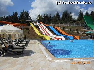 [P26] Izgrev Hotel Spa & Aquapark - Struga. În parcul acvatic.  » foto by iulianic
 - 
<span class="allrVoted glyphicon glyphicon-heart hidden" id="av662723"></span>
<a class="m-l-10 hidden" id="sv662723" onclick="voting_Foto_DelVot(,662723,18177)" role="button">șterge vot <span class="glyphicon glyphicon-remove"></span></a>
<a id="v9662723" class=" c-red"  onclick="voting_Foto_SetVot(662723)" role="button"><span class="glyphicon glyphicon-heart-empty"></span> <b>LIKE</b> = Votează poza</a> <img class="hidden"  id="f662723W9" src="/imagini/loader.gif" border="0" /><span class="AjErrMes hidden" id="e662723ErM"></span>