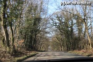 [P03] Hmmm... asta seamănă cu The Dark Hedges din Irlanda de Nord. Vom ajunge și acolo...  » foto by ariciu
 - 
<span class="allrVoted glyphicon glyphicon-heart hidden" id="av607038"></span>
<a class="m-l-10 hidden" id="sv607038" onclick="voting_Foto_DelVot(,607038,18212)" role="button">șterge vot <span class="glyphicon glyphicon-remove"></span></a>
<a id="v9607038" class=" c-red"  onclick="voting_Foto_SetVot(607038)" role="button"><span class="glyphicon glyphicon-heart-empty"></span> <b>LIKE</b> = Votează poza</a> <img class="hidden"  id="f607038W9" src="/imagini/loader.gif" border="0" /><span class="AjErrMes hidden" id="e607038ErM"></span>