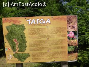 [P03] Panou explicativ la intrarea in Tinovul Fantana Brazilor » foto by Bia710
 - 
<span class="allrVoted glyphicon glyphicon-heart hidden" id="av773920"></span>
<a class="m-l-10 hidden" id="sv773920" onclick="voting_Foto_DelVot(,773920,18215)" role="button">șterge vot <span class="glyphicon glyphicon-remove"></span></a>
<a id="v9773920" class=" c-red"  onclick="voting_Foto_SetVot(773920)" role="button"><span class="glyphicon glyphicon-heart-empty"></span> <b>LIKE</b> = Votează poza</a> <img class="hidden"  id="f773920W9" src="/imagini/loader.gif" border="0" /><span class="AjErrMes hidden" id="e773920ErM"></span>