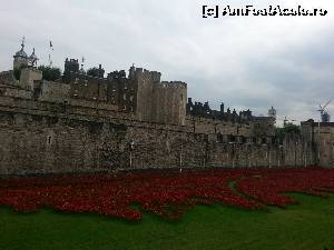 [P03] Tower of London cu o pată de culoare » foto by robert
 - 
<span class="allrVoted glyphicon glyphicon-heart hidden" id="av612038"></span>
<a class="m-l-10 hidden" id="sv612038" onclick="voting_Foto_DelVot(,612038,18327)" role="button">șterge vot <span class="glyphicon glyphicon-remove"></span></a>
<a id="v9612038" class=" c-red"  onclick="voting_Foto_SetVot(612038)" role="button"><span class="glyphicon glyphicon-heart-empty"></span> <b>LIKE</b> = Votează poza</a> <img class="hidden"  id="f612038W9" src="/imagini/loader.gif" border="0" /><span class="AjErrMes hidden" id="e612038ErM"></span>