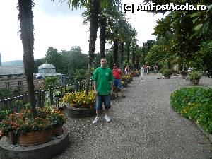 [P08] Gradina in stil maur... palmieri » foto by ciprian.dima
 - 
<span class="allrVoted glyphicon glyphicon-heart hidden" id="av357779"></span>
<a class="m-l-10 hidden" id="sv357779" onclick="voting_Foto_DelVot(,357779,18332)" role="button">șterge vot <span class="glyphicon glyphicon-remove"></span></a>
<a id="v9357779" class=" c-red"  onclick="voting_Foto_SetVot(357779)" role="button"><span class="glyphicon glyphicon-heart-empty"></span> <b>LIKE</b> = Votează poza</a> <img class="hidden"  id="f357779W9" src="/imagini/loader.gif" border="0" /><span class="AjErrMes hidden" id="e357779ErM"></span>