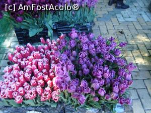 P04 [APR-2016] Un buchet de lalele ce asteapta sa le cumperi in targul de flori