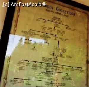 [P54] Arborele genealogic al Goleştilor » foto by Michi <span class="label label-default labelC_thin small">NEVOTABILĂ</span>