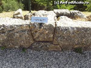 [P18] Coridorul de est » foto by irinad
 - 
<span class="allrVoted glyphicon glyphicon-heart hidden" id="av591964"></span>
<a class="m-l-10 hidden" id="sv591964" onclick="voting_Foto_DelVot(,591964,18403)" role="button">șterge vot <span class="glyphicon glyphicon-remove"></span></a>
<a id="v9591964" class=" c-red"  onclick="voting_Foto_SetVot(591964)" role="button"><span class="glyphicon glyphicon-heart-empty"></span> <b>LIKE</b> = Votează poza</a> <img class="hidden"  id="f591964W9" src="/imagini/loader.gif" border="0" /><span class="AjErrMes hidden" id="e591964ErM"></span>