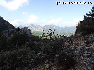 [P39] In fata, muntii sunt scaldati de soare, in timp ce la noi e nor » foto by irinad
 - 
<span class="allrVoted glyphicon glyphicon-heart hidden" id="av592931"></span>
<a class="m-l-10 hidden" id="sv592931" onclick="voting_Foto_DelVot(,592931,18403)" role="button">șterge vot <span class="glyphicon glyphicon-remove"></span></a>
<a id="v9592931" class=" c-red"  onclick="voting_Foto_SetVot(592931)" role="button"><span class="glyphicon glyphicon-heart-empty"></span> <b>LIKE</b> = Votează poza</a> <img class="hidden"  id="f592931W9" src="/imagini/loader.gif" border="0" /><span class="AjErrMes hidden" id="e592931ErM"></span>