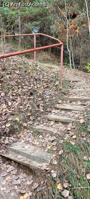 [P05] Porțiune de traseu în ascensiune. » foto by tata123 🔱
 - 
<span class="allrVoted glyphicon glyphicon-heart hidden" id="av1505028"></span>
<a class="m-l-10 hidden" id="sv1505028" onclick="voting_Foto_DelVot(,1505028,18441)" role="button">șterge vot <span class="glyphicon glyphicon-remove"></span></a>
<a id="v91505028" class=" c-red"  onclick="voting_Foto_SetVot(1505028)" role="button"><span class="glyphicon glyphicon-heart-empty"></span> <b>LIKE</b> = Votează poza</a> <img class="hidden"  id="f1505028W9" src="/imagini/loader.gif" border="0" /><span class="AjErrMes hidden" id="e1505028ErM"></span>