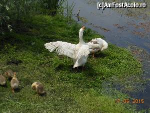 P03 [MAY-2015] Mănăstirea Comana - Pe malul Neajlovului, o familie fericită. 