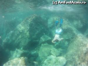 [P12] Tripiti beach, zona de snorkeling. Poza cu GoPro.  » foto by ebirsan
 - 
<span class="allrVoted glyphicon glyphicon-heart hidden" id="av526994"></span>
<a class="m-l-10 hidden" id="sv526994" onclick="voting_Foto_DelVot(,526994,18546)" role="button">șterge vot <span class="glyphicon glyphicon-remove"></span></a>
<a id="v9526994" class=" c-red"  onclick="voting_Foto_SetVot(526994)" role="button"><span class="glyphicon glyphicon-heart-empty"></span> <b>LIKE</b> = Votează poza</a> <img class="hidden"  id="f526994W9" src="/imagini/loader.gif" border="0" /><span class="AjErrMes hidden" id="e526994ErM"></span>