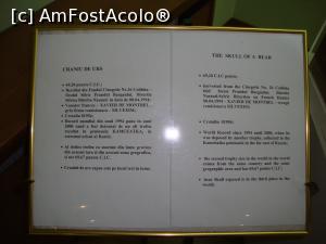 [P31] În dreptul trofeelor și a celorlalte exponate sunt afișate diferite informații.  » foto by Floryn81
 - 
<span class="allrVoted glyphicon glyphicon-heart hidden" id="av744418"></span>
<a class="m-l-10 hidden" id="sv744418" onclick="voting_Foto_DelVot(,744418,18556)" role="button">șterge vot <span class="glyphicon glyphicon-remove"></span></a>
<a id="v9744418" class=" c-red"  onclick="voting_Foto_SetVot(744418)" role="button"><span class="glyphicon glyphicon-heart-empty"></span> <b>LIKE</b> = Votează poza</a> <img class="hidden"  id="f744418W9" src="/imagini/loader.gif" border="0" /><span class="AjErrMes hidden" id="e744418ErM"></span>