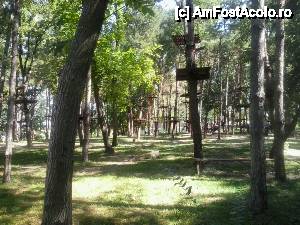 [P15] Aventura parc Comana - trasee » foto by Dragoș_MD
 - 
<span class="allrVoted glyphicon glyphicon-heart hidden" id="av466917"></span>
<a class="m-l-10 hidden" id="sv466917" onclick="voting_Foto_DelVot(,466917,18559)" role="button">șterge vot <span class="glyphicon glyphicon-remove"></span></a>
<a id="v9466917" class=" c-red"  onclick="voting_Foto_SetVot(466917)" role="button"><span class="glyphicon glyphicon-heart-empty"></span> <b>LIKE</b> = Votează poza</a> <img class="hidden"  id="f466917W9" src="/imagini/loader.gif" border="0" /><span class="AjErrMes hidden" id="e466917ErM"></span>