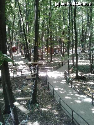 [P17] Edenland, parc aventura Baloteşti - așa se vede de sus » foto by Dragoș_MD
 - 
<span class="allrVoted glyphicon glyphicon-heart hidden" id="av448364"></span>
<a class="m-l-10 hidden" id="sv448364" onclick="voting_Foto_DelVot(,448364,18561)" role="button">șterge vot <span class="glyphicon glyphicon-remove"></span></a>
<a id="v9448364" class=" c-red"  onclick="voting_Foto_SetVot(448364)" role="button"><span class="glyphicon glyphicon-heart-empty"></span> <b>LIKE</b> = Votează poza</a> <img class="hidden"  id="f448364W9" src="/imagini/loader.gif" border="0" /><span class="AjErrMes hidden" id="e448364ErM"></span>