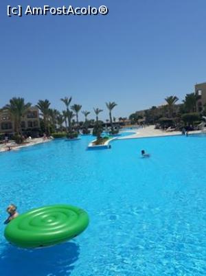 [P10] o alta piscina » foto by raluca1831
 - 
<span class="allrVoted glyphicon glyphicon-heart hidden" id="av1094625"></span>
<a class="m-l-10 hidden" id="sv1094625" onclick="voting_Foto_DelVot(,1094625,18563)" role="button">șterge vot <span class="glyphicon glyphicon-remove"></span></a>
<a id="v91094625" class=" c-red"  onclick="voting_Foto_SetVot(1094625)" role="button"><span class="glyphicon glyphicon-heart-empty"></span> <b>LIKE</b> = Votează poza</a> <img class="hidden"  id="f1094625W9" src="/imagini/loader.gif" border="0" /><span class="AjErrMes hidden" id="e1094625ErM"></span>
